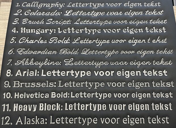 Stoelhoezen geschikt voor RENAULT T LEDERLOOK