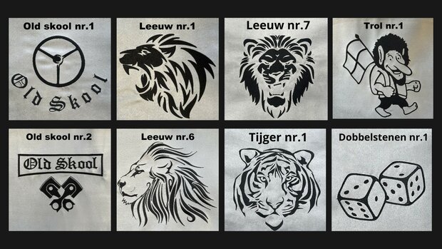 Tunnelhoes & Vloermatten - Compleet in &eacute;&eacute;n stuk geschikt voor SCANIA R NEXT GLAD LEDERLOOK